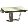 ASI American Specialties, Inc. 10-8203 Folding 18 In. W Shower Seat Rectangular Solid Phenolic Seat - Compact In White